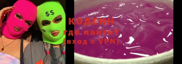 индика Абаза