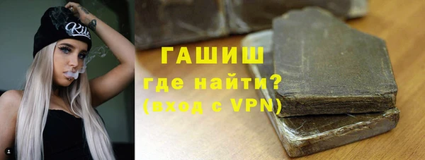 индика Абаза