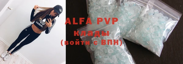 индика Абаза