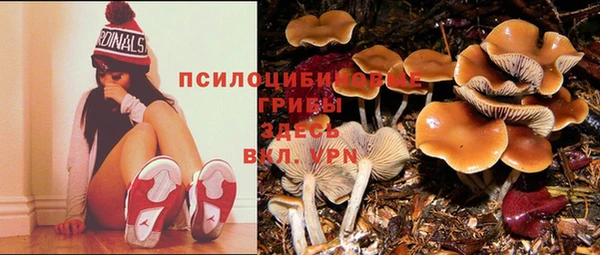 мяу мяу мука Абинск
