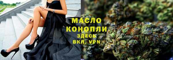 индика Абаза