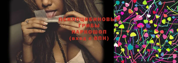 индика Абаза