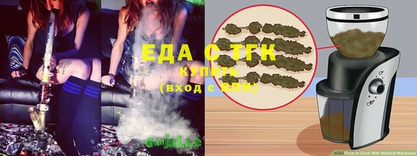 индика Абаза