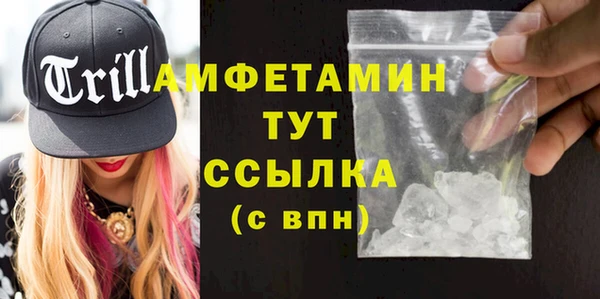индика Абаза