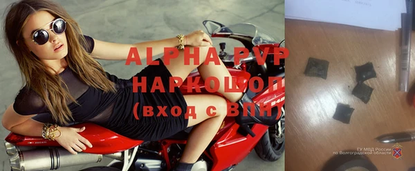 индика Абаза
